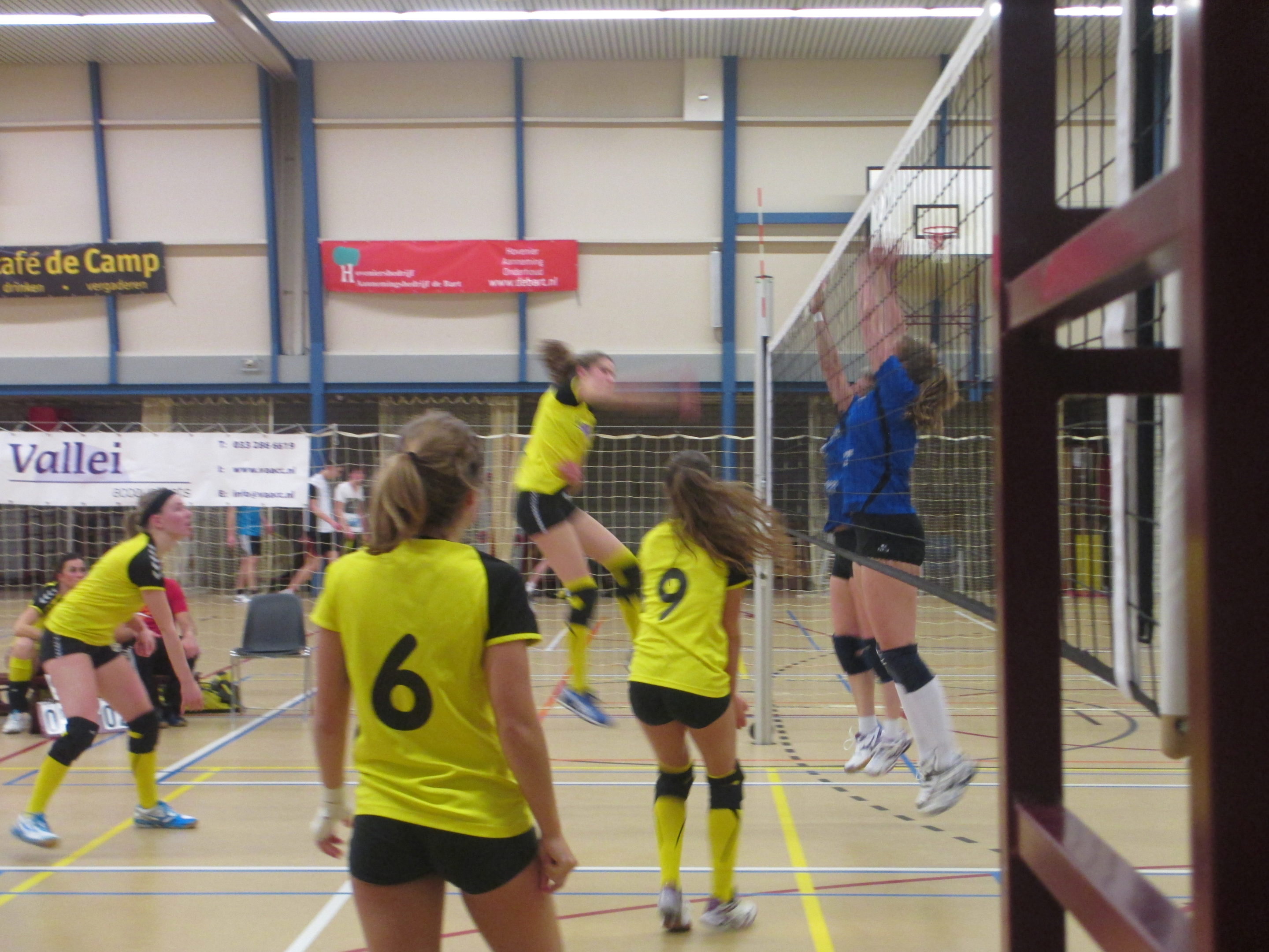 Tien punten in één week voor Vallei Accountants/Dames 1