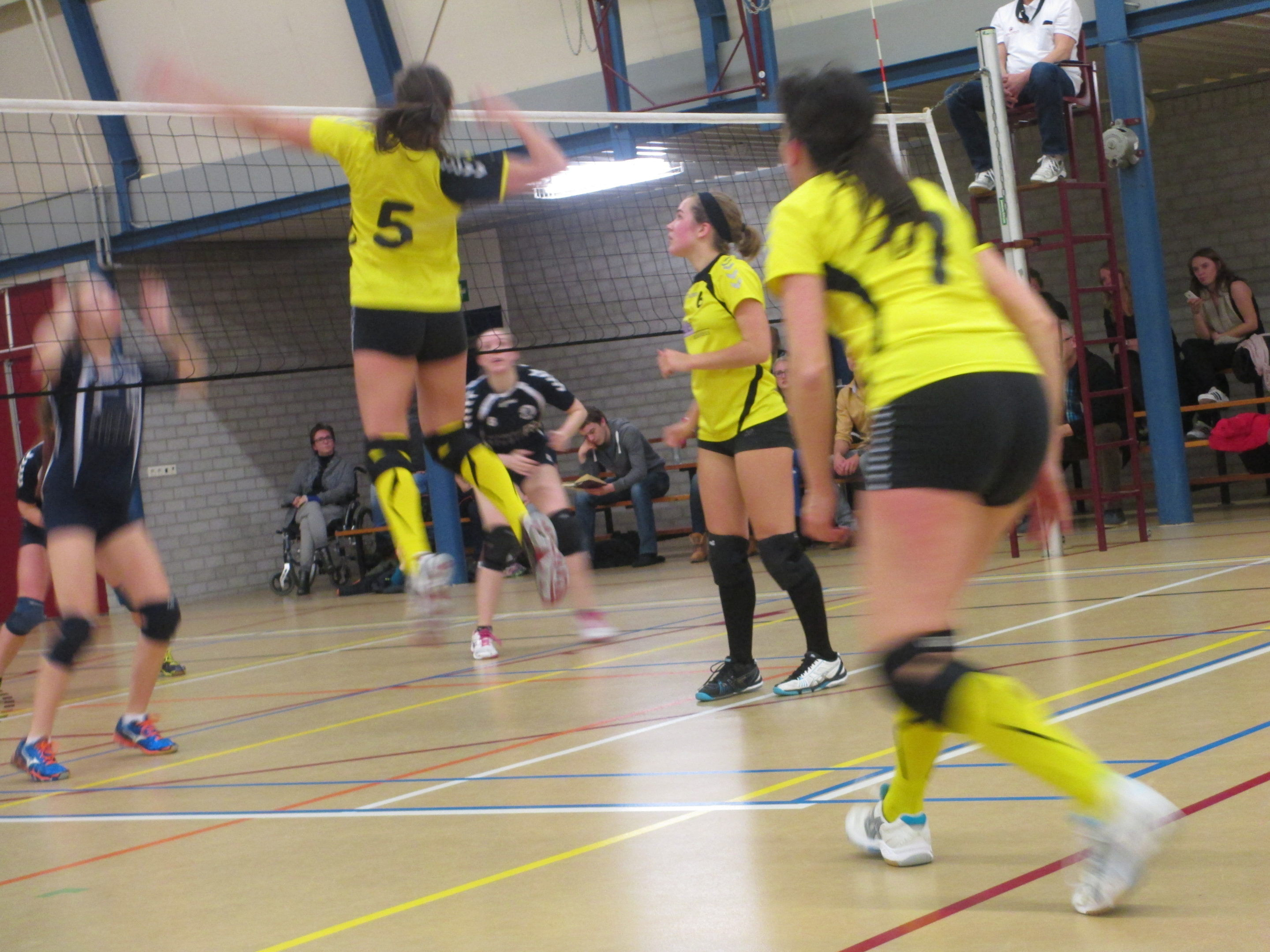 Vechtlust niet genoeg voor Vallei Accountants/Dames 1