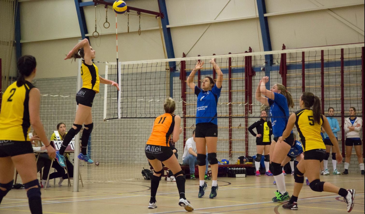 Vallei Accountants/Dames 1 pakt volle winst tegen Scylla Dames 3