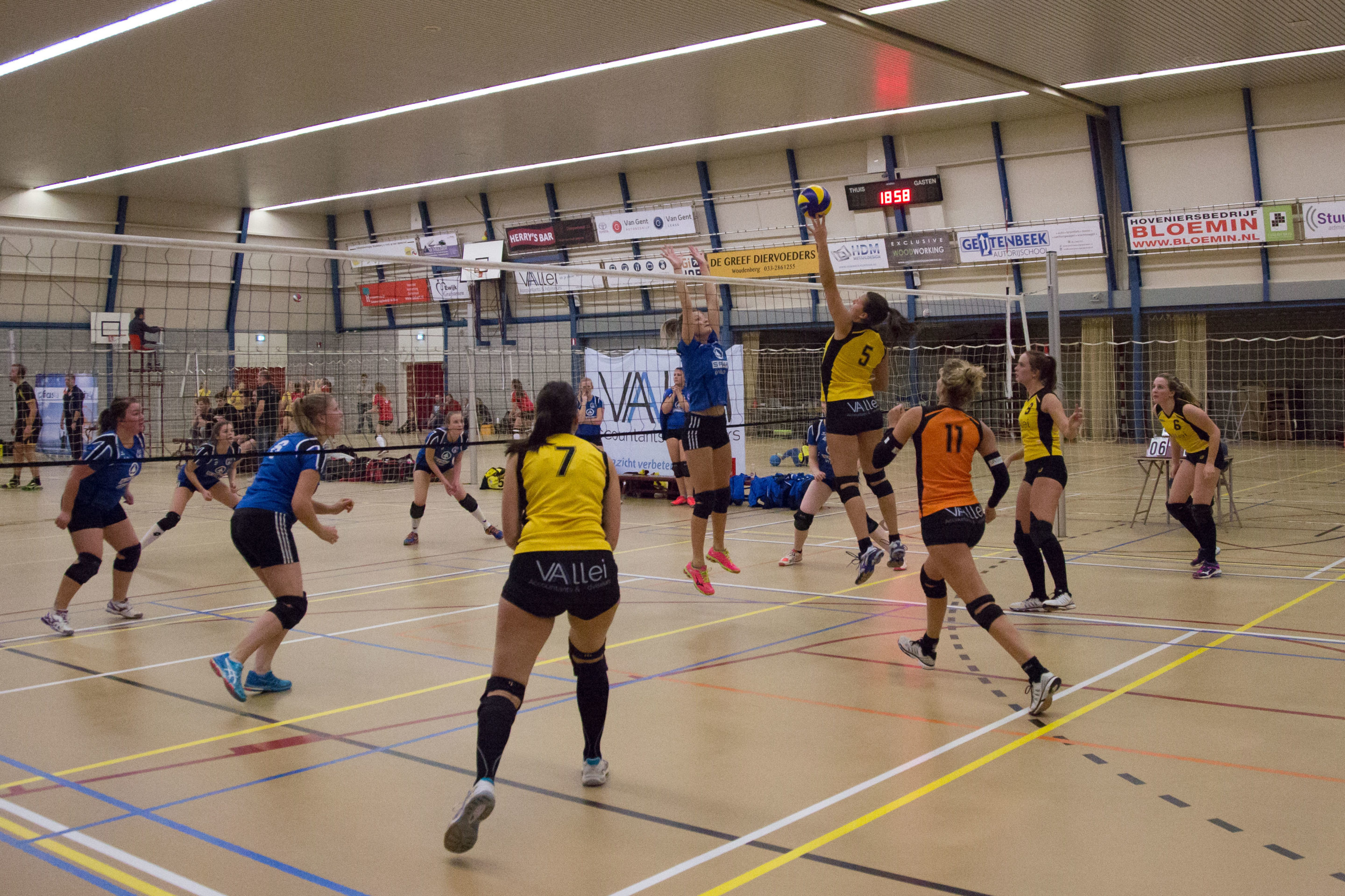 Overtuigende 4-0 winst voor Vallei Accountants/Dames 1