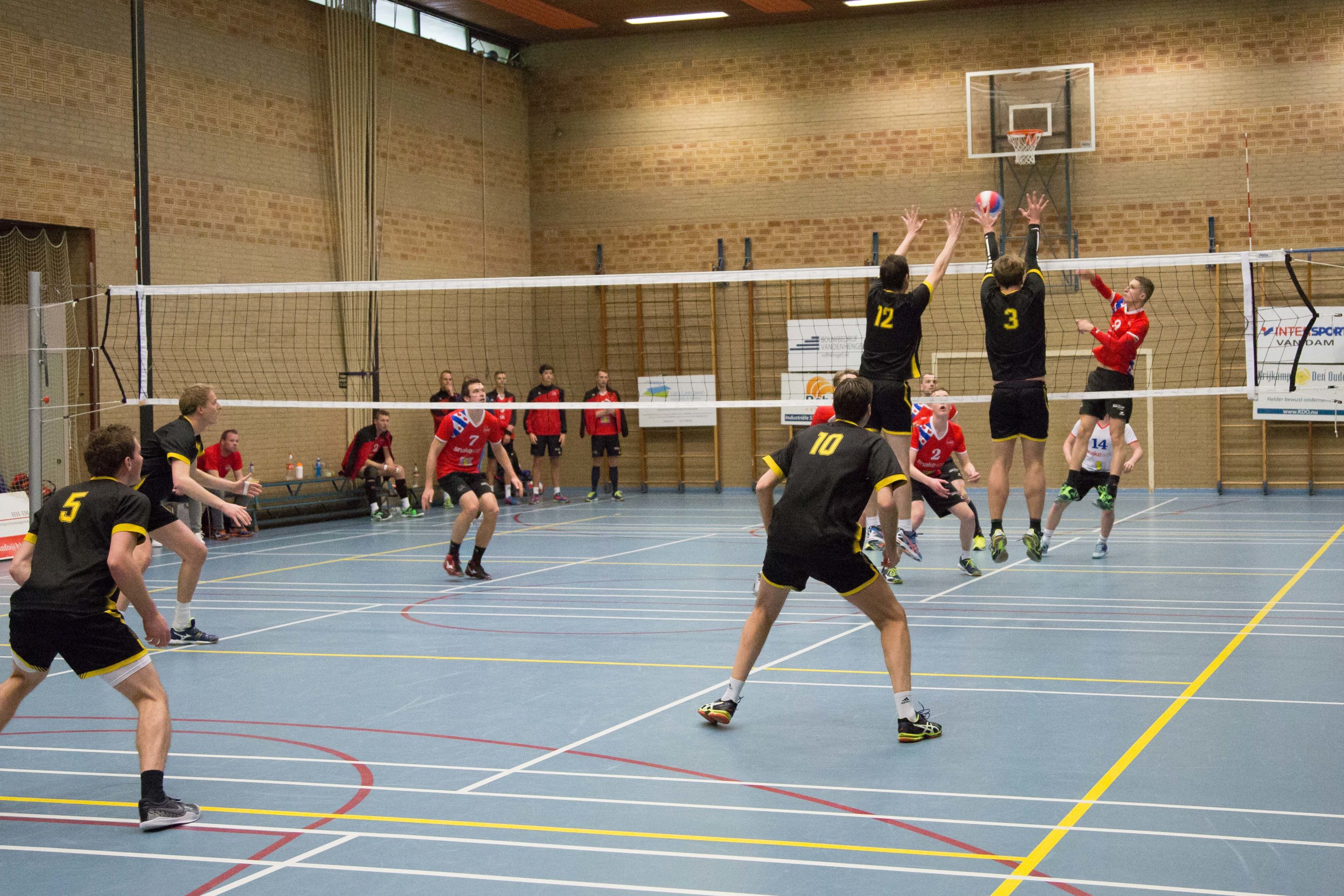 Volleyballers Focus4u promoveren naar de 1e divisie