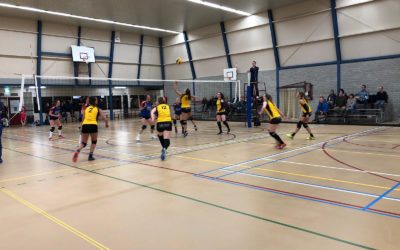 Gehavend Vallei Accountants/Dames 1 dwingt winst af