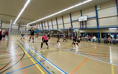 Vallei Finance Group Woudenberg DS1 strijdend ten onder tegen Aetos Dames 2